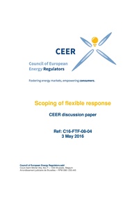 Scoping of flexible response CEER discussion paper