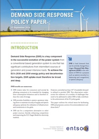 Demand Side Response - Policy Paper
