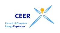 Annual CEER Conference on Flexibility