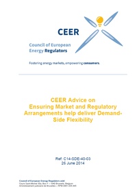 CEER Advice on Ensuring Market and Regulatory Arrangements help deliver Demand-Side Flexibility