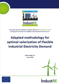 Adapted methodology for optimal valorization of Flexible Industrial Electricity Demand