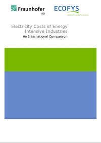 Electricity Costs of Energy Intensive Industries