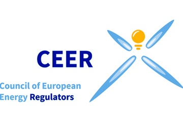 Annual CEER Conference on Flexibility